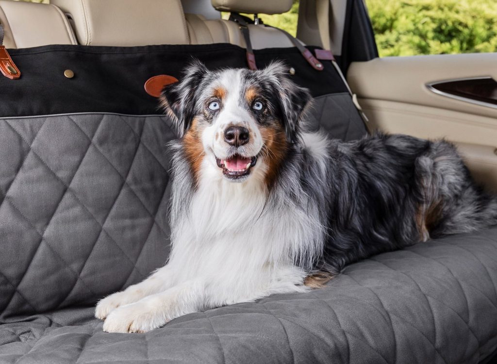 dog car seat cover